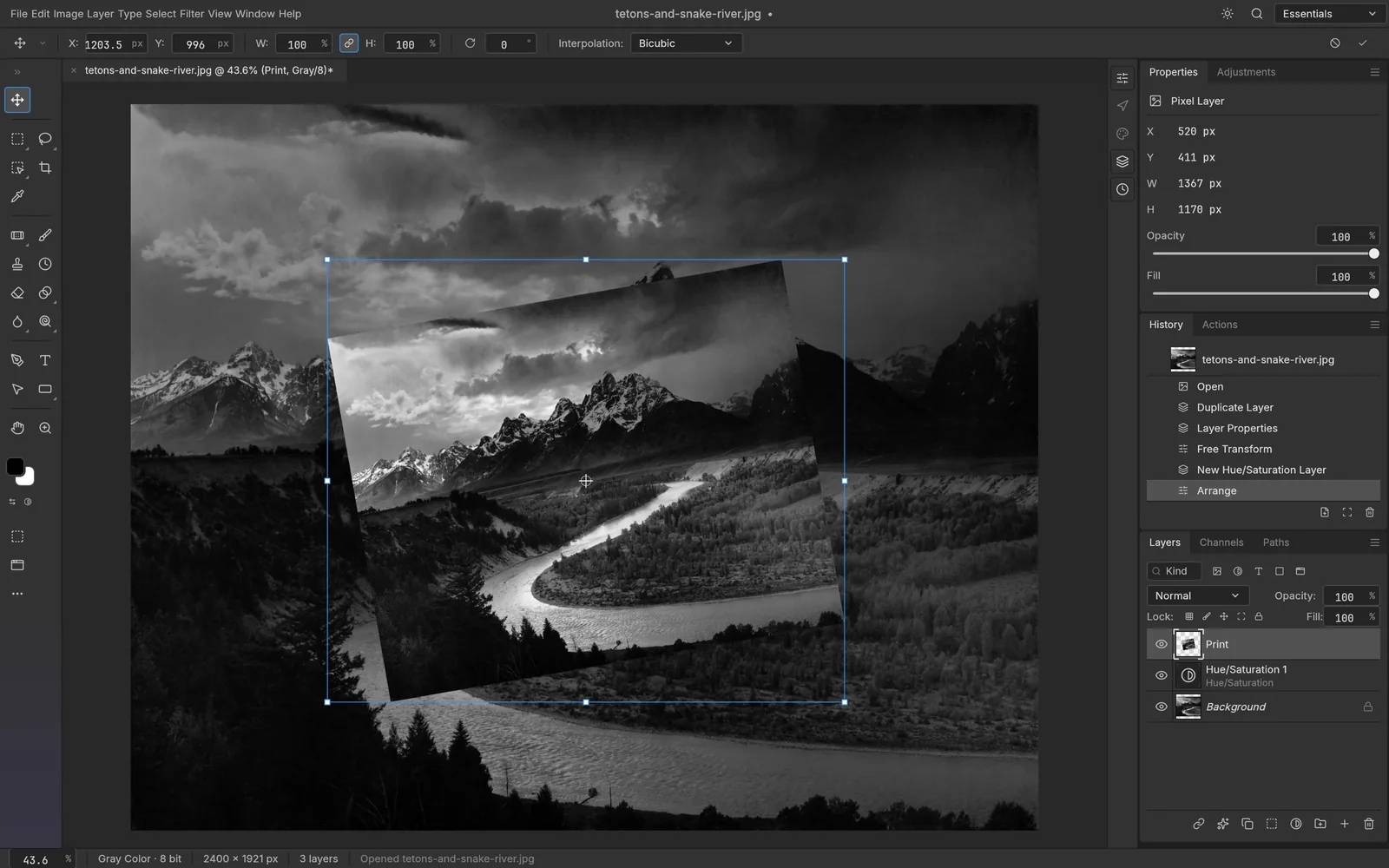 The PhotoCraft interface with Free Transform handles around a rotated image, and the History panel listing every step